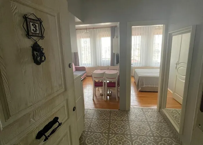 아파트 Ozcans Sururi Pera Flats 3 *